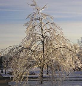 2007 Ice Storm at Northwest 25