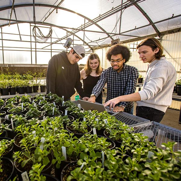 greenhouse study sustainability 